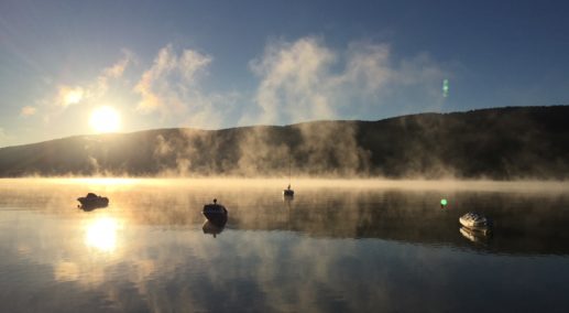 Lac de Joux